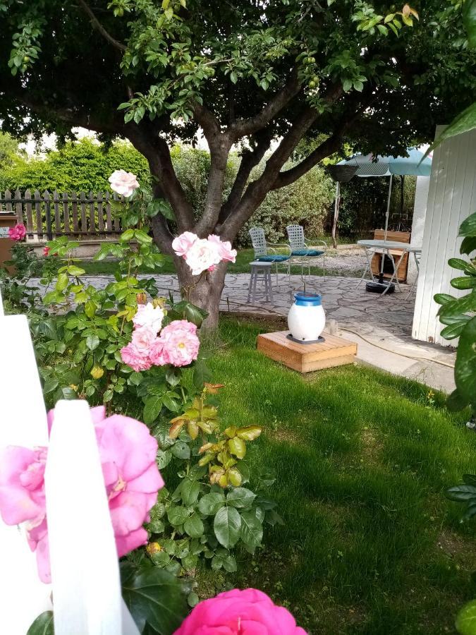 Bed and Breakfast Le Flamant Rose Salin-de-Giraud Exterior foto