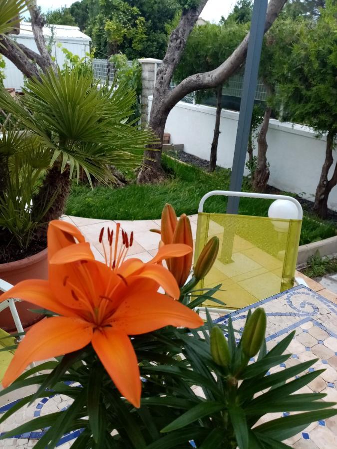 Bed and Breakfast Le Flamant Rose Salin-de-Giraud Exterior foto