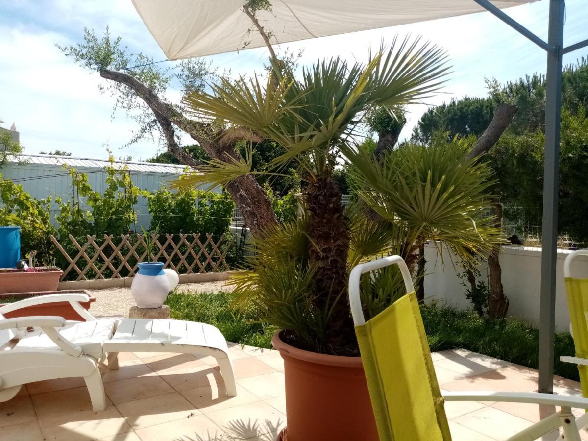 Bed and Breakfast Le Flamant Rose Salin-de-Giraud Exterior foto