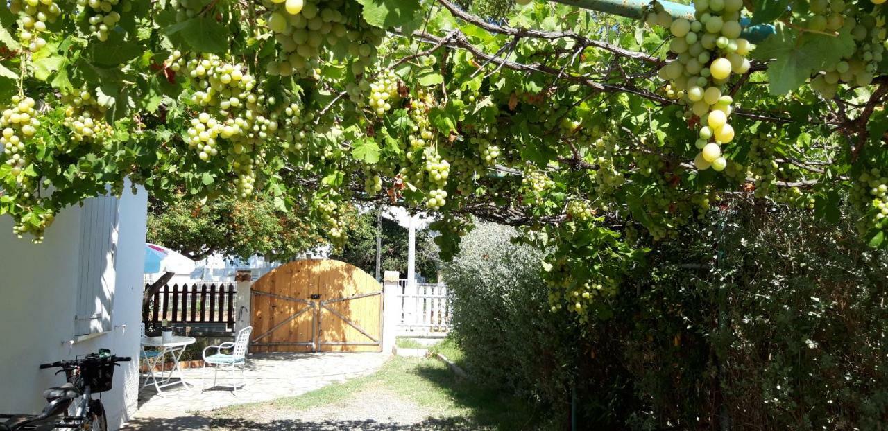 Bed and Breakfast Le Flamant Rose Salin-de-Giraud Exterior foto