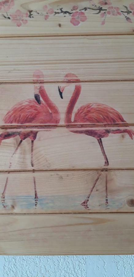 Bed and Breakfast Le Flamant Rose Salin-de-Giraud Exterior foto